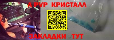стаф Можга
