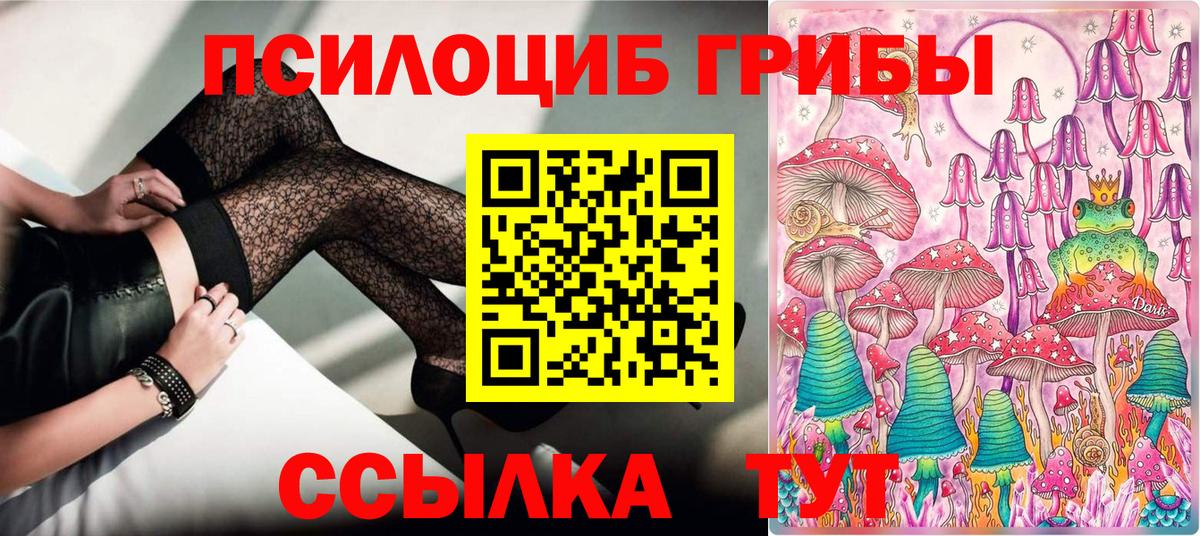 Торжок  Псилоцибиновые грибы Psilocybe  Вход с VPN 